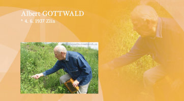 Albert Gottwald