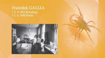 František Gallia