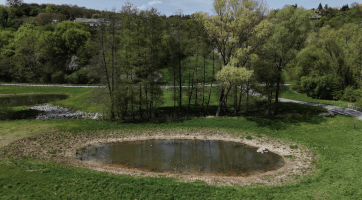 Obec Žlutava