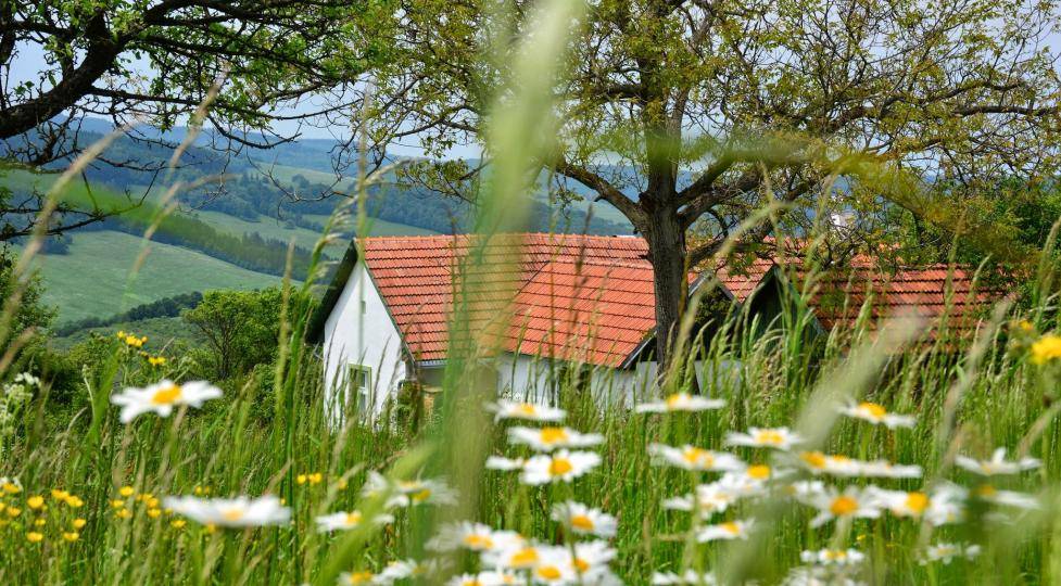 Po stopách Mornštajnové, Tučkové nebo Galušky. Literární místopis ČT zavede diváky i do našeho regionu