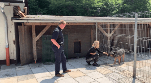 Zvířecí útulek v Jasenicích vylepšuje podmínky pro své chráněnce