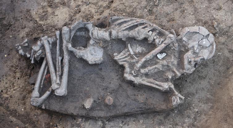 Mimořádný archeologický objev v Ostrožské Lhotě! V sídlištních jámách se našly lidské kostry staré 7000 let