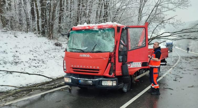 Velká větev probodla kabinu nákladního auta. Řidič jako zázrakem vyvázl jen s oděrkami