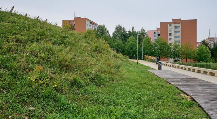 U vodního biotopu na Jižních Svazích probíhá likvidace nežádoucích rostlin 