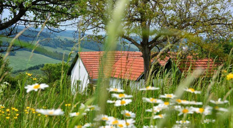 Po stopách Mornštajnové, Tučkové nebo Galušky. Literární místopis ČT zavede diváky i do našeho regionu