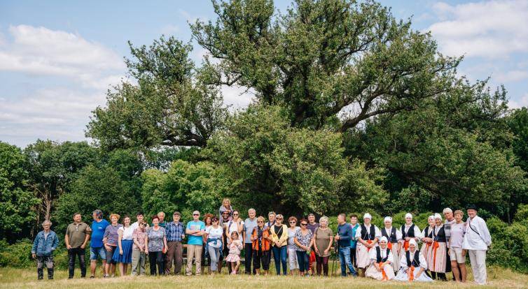Hruška na Radovách z Uherského Hradiště je druhým nejoblíbenějším stromem v Česku