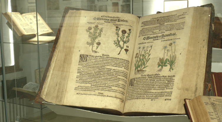 Příběh Mattioliho herbáře a fotograf Jindřich Buxbaum lákají do muzea