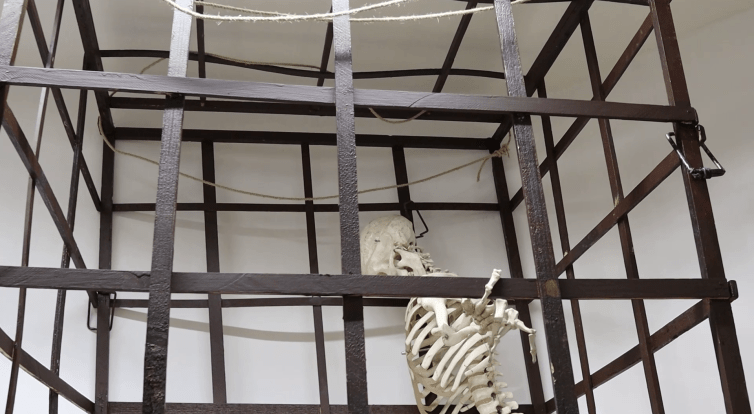 V muzeu ve Veselí si můžete vyzkoušet pranýř nebo kládu