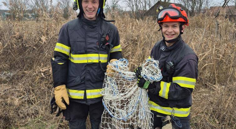 Nejkurióznější zásah roku? Na Štěpána hon na klokana