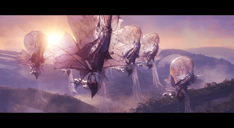 Kino Hvězda láká na novinky i klasiku, chystá se i projekce pod širým nebem