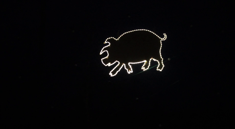 Nad koštem zelňaček proběhlo zlaté prasátko