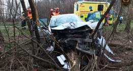Po nárazu do stromu skončila řidička v nemocnici