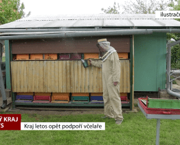 Zlínský kraj letos opět podpoří včelaře