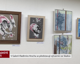 V Galerii Vladimíra Hrocha vystavují výtvarníci ze Skalice