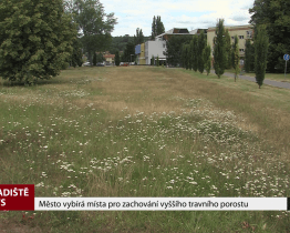 Město vybírá místa pro zachování vyššího travního porostu