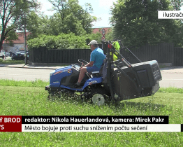 Město bojuje proti suchu snížením počtu sečení