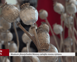Muzeum jihovýchodní Moravy zahájilo novou výstavu