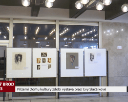 Přízemí Domu kultury zdobí výstava prací Evy Slačálkové