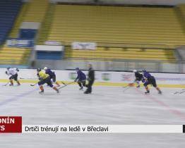 Drtiči trénují na ledě Břeclavi