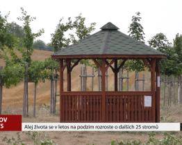 Alej života se rozroste