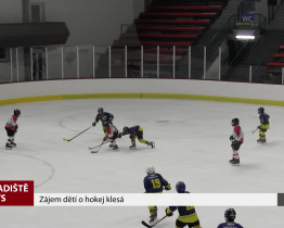 Zájem dětí o hokej klesá