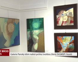 Galerie Panský dům nabízí průřez tvorbou členů SVUMSP i hostů