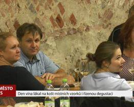 Den vína lákal na košt místních vzorků i řízenou degustaci