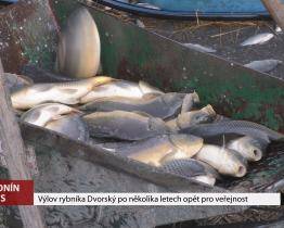 Výlov rybníka byl opět pro veřejnost 