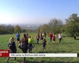 Děti sázely na Rochusu další stromy