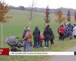 Lidé zasadili další stromy do aleje života