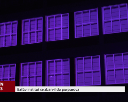 Baťův institut se zbarvil do purpurova