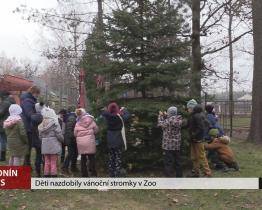 Děti nazdobily vánoční stromky v hodonínské zoo