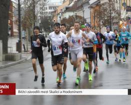 Běžci závodili na trase Hodonín - Skalica