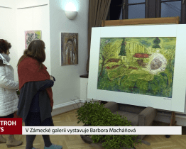 V Zámecké galerii vystavuje Barbora Macháňová