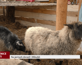 Na jarmark ve Strážnici dorazil i Mikuláš