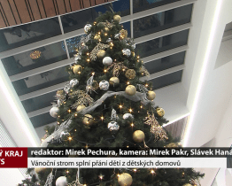 Vánoční strom splní přání dětí z dětských domovů
