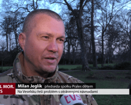 Na Veselsku řeší problém s otrávenými návnadami