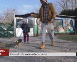 Psí útulek v Hodoníně prázdnotou rozhodně nezeje