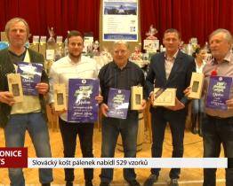 Slovácký košt pálenek nabídl 529 vzorků 
