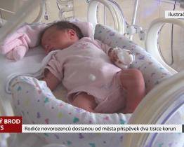 Rodiče novorozenců dostanou od města příspěvek dva tisíce korun