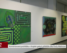 Komentovaná prohlídka v Krajské galerii přiblížila díla Pavly Malinové