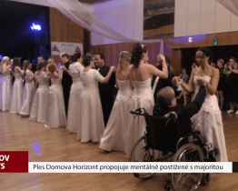 Ples Domova Horizont propojuje mentálně postižené s majoritou