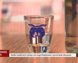 Vedle tradičních výstav vín mají Polešovice i první košt slivovice