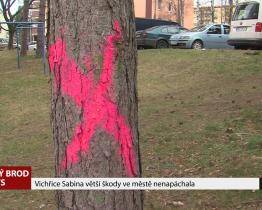 Vichřice Sabina ve městě větší škody nenapáchala