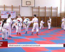 Mladí karatisté o prázdninách trénovali
