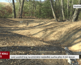 Loni uvolnil kraj na zmírnění následků sucha přes 4 miliony korun