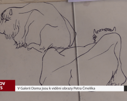 V Galerii Doma jsou k vidění obrazy Petra Čmelíka