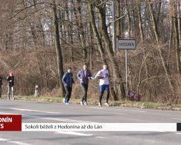 Sokoli běželi z Hodonína až do Lán
