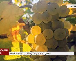 Vinaři v Sadech pořádají Degustace z gauče