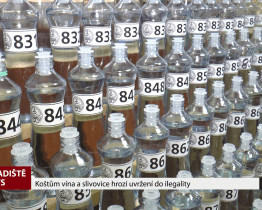 Koštům vína a slivovice hrozí uvržení do ilegality